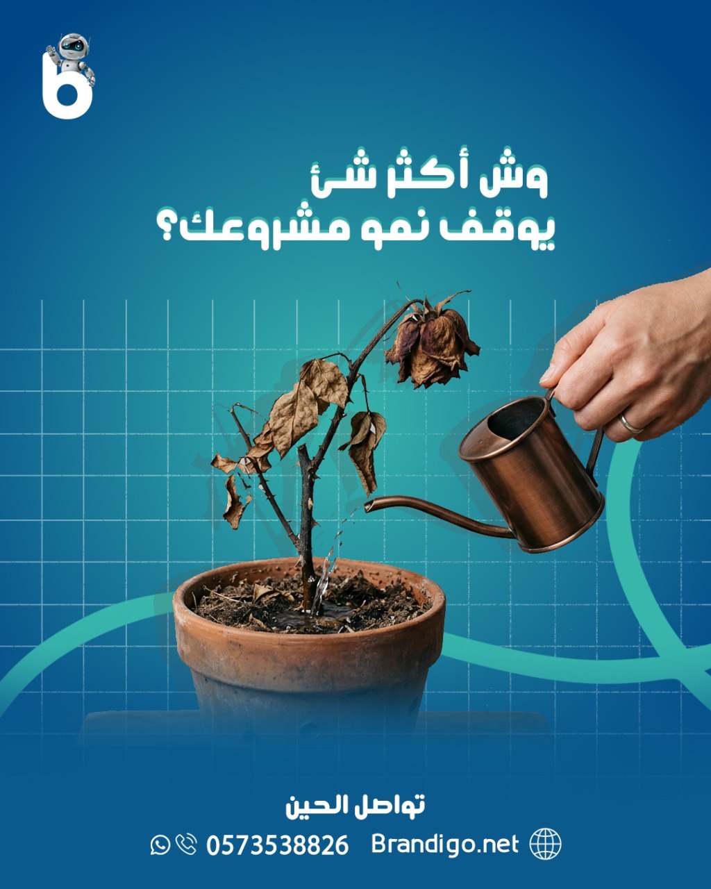 قصة براندجو